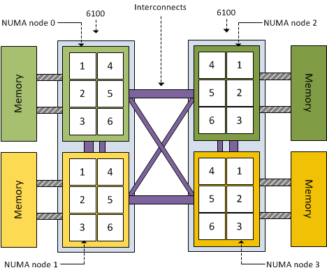 dual processor AMD 6100 magny-cours system and NUMA node architecture
